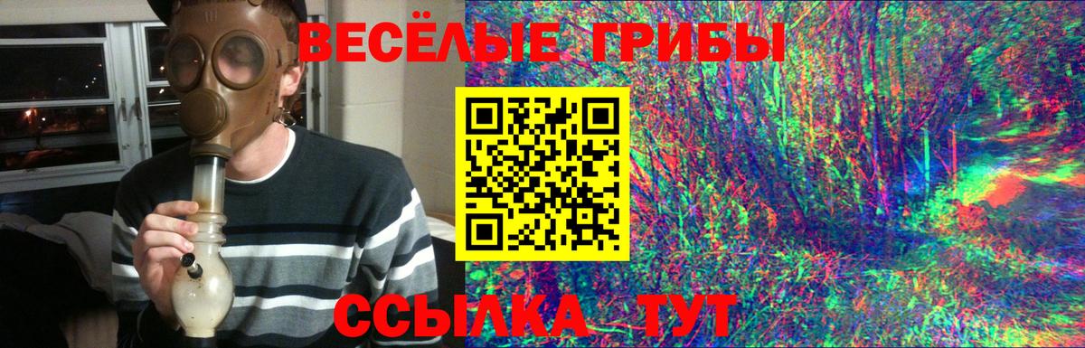 Псилоцибиновые грибы Cubensis Петропавловск-Камчатский
