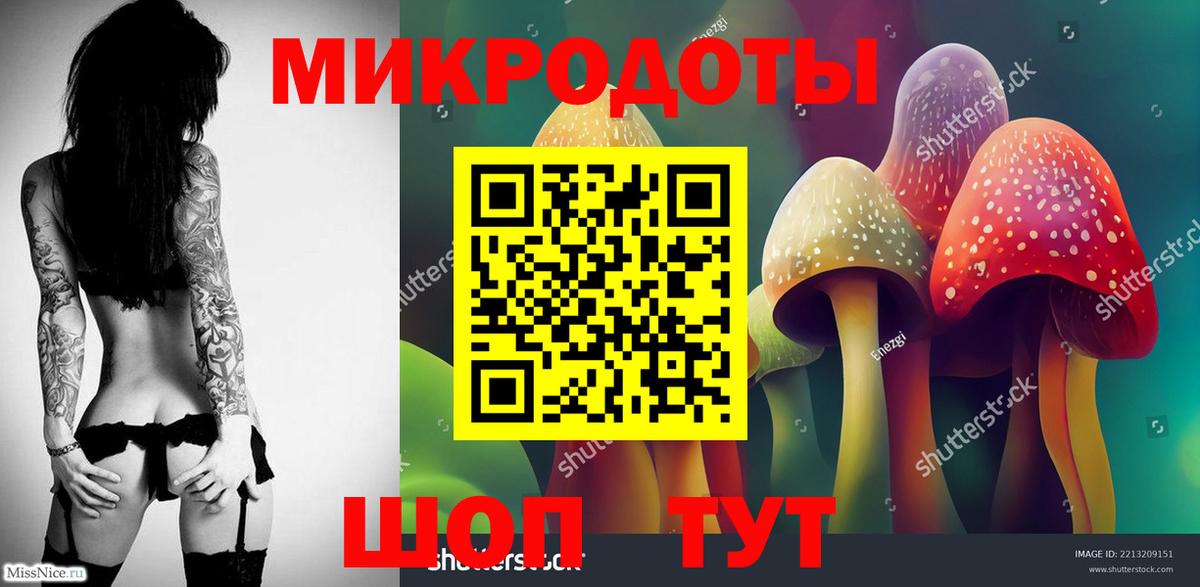 Псилоцибиновые грибы Magic Shrooms  Вход с VPN  Петропавловск-Камчатский  Псилоцибиновые грибы Psilocybe 